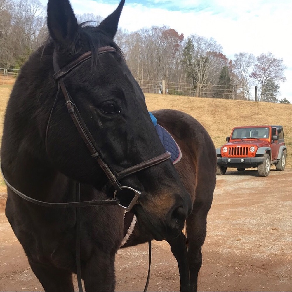 Meet your Posher, Brittany